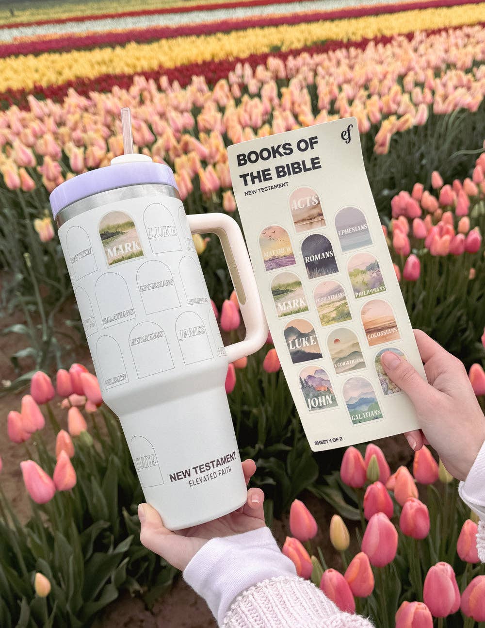 New Testament Bible Checklist Tumbler + Sticker Set — 40oz