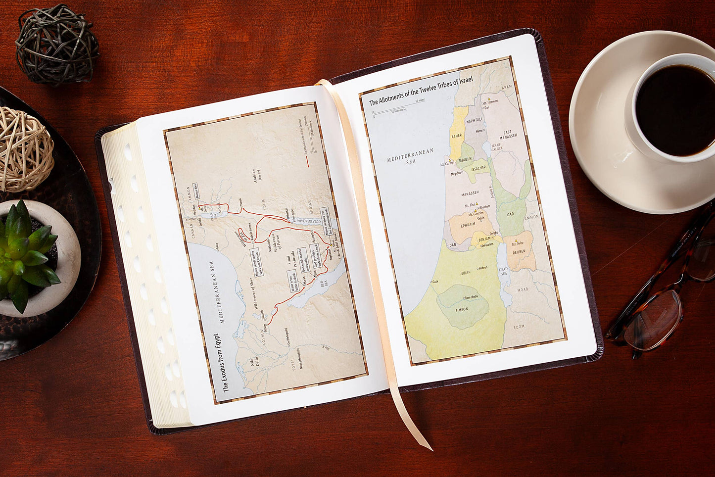 KJV Bible - Giant Print Blush