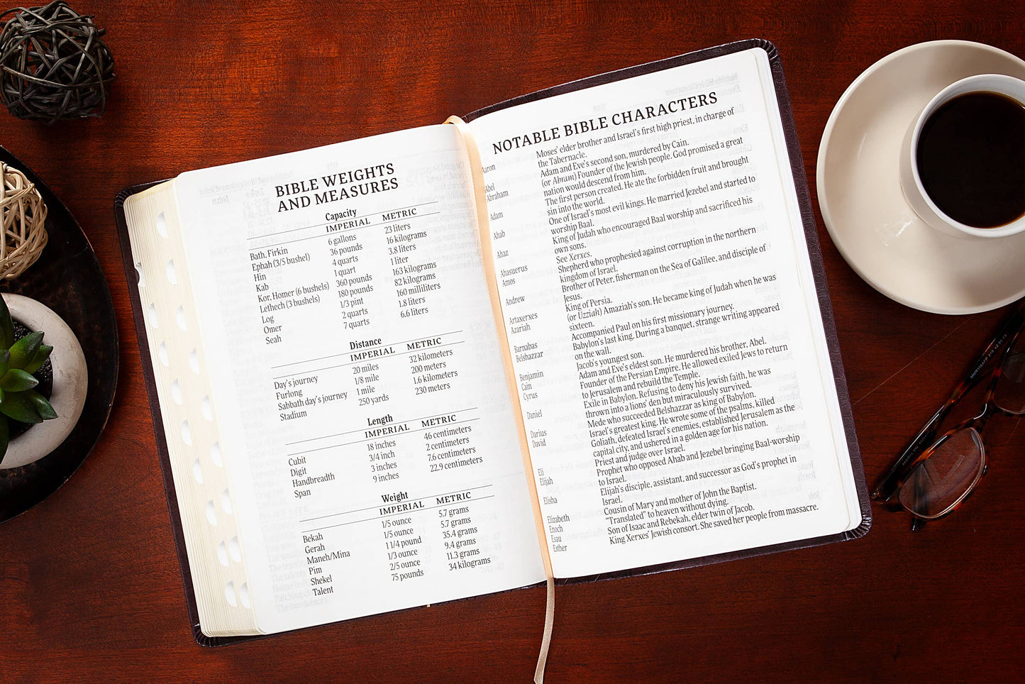 KJV Bible - Giant Print Blush